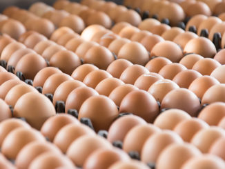 Brown eggs in open cartons