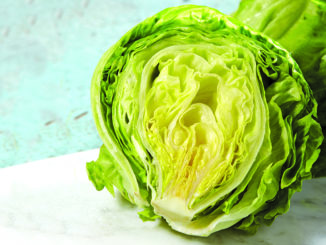Iceberg Lettuce: Light and Crisp with a Satisfying Crunch | Food & Nutrition Magazine | Volume 10, Issue 2