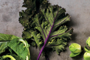 Crazy for Crucifers: 13 Cruciferous Vegetables Brimming with Nutrients