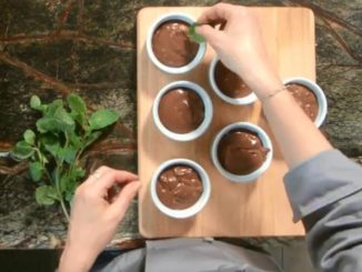 Dairy-Free Chocolate Pudding | Food & Nutrition | Stone Soup
