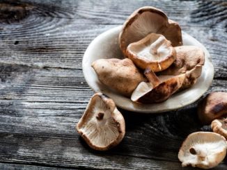 Earth-Friendly Mushroom Beef Meatloaf | Food & Nutrition | Stone Soup