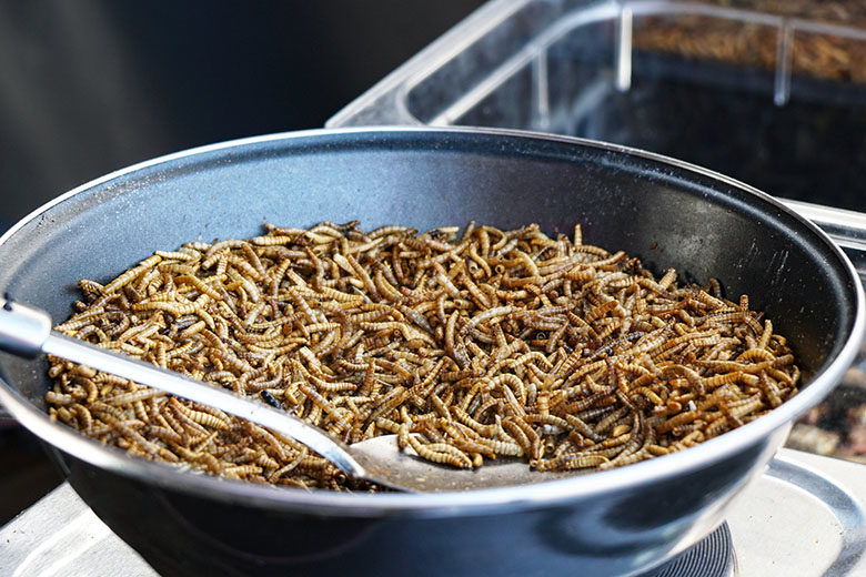 fried mealworms at street food market