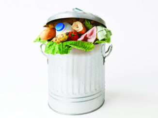 Waste Deep: The State of Food Loss and Waste — and Ways to Fix It
