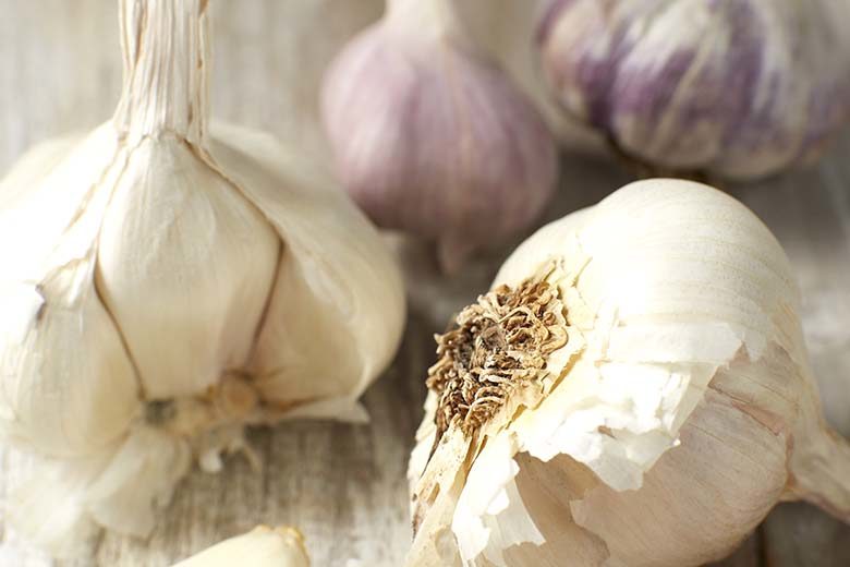 Garlic: The Spicy Vegetable | Food & Nutrition Magazine | Volume 9, Issue 4