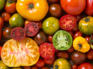 Close up of colourful tomatoes, some sliced, shot from above