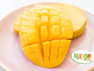 Make It with Mango