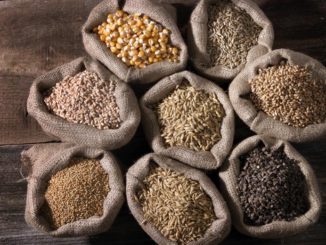 Explore New Foods and Flavors with Whole Grains | Food & Nutrition | Stone Soup