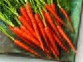 Carrots: Tracing this Vegetable's Roots | Food & Nutrition Magazine | Volume 9, Issue 1