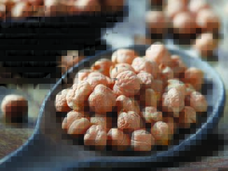 Chickpeas: An Ancient Bean with Modern Appeal | Food & Nutrition Magazine | Volume 10, Issue 1
