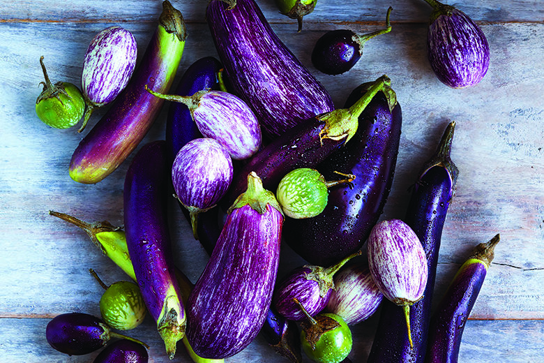 Different varieties of eggplant scattered about