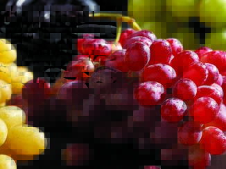 Savor: Grapes | Food & Nutrition Magazine | Volume 9, Issue 5