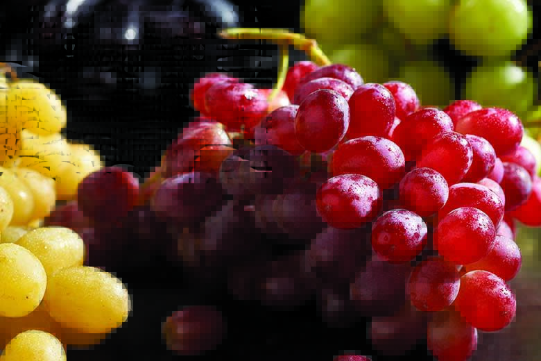 Savor: Grapes | Food & Nutrition Magazine | Volume 9, Issue 5