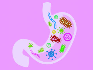 Stomach vector icon with viruses and bacteria inside, concept of nutrition
