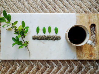 Is Caffeinated Tea Growing in Your Backyard?