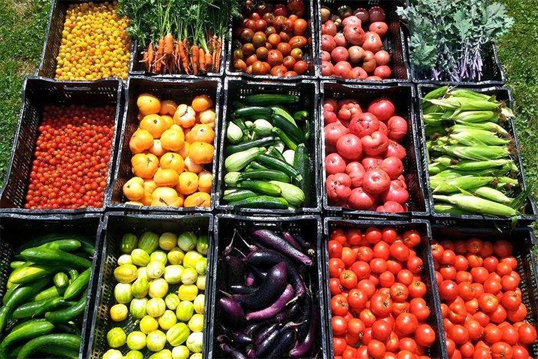 Many types of fresh produce in bins